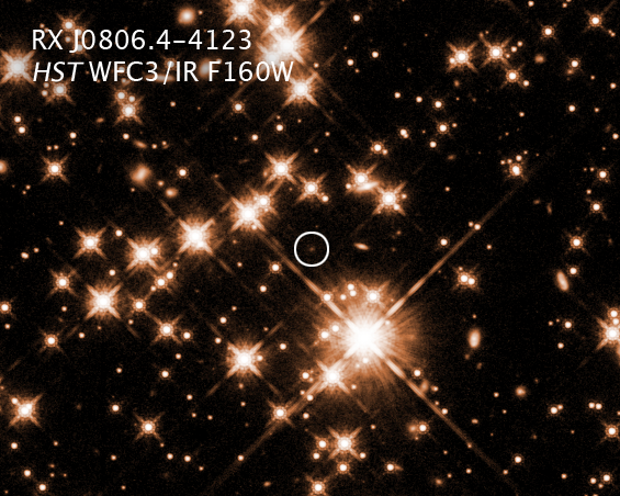 Missing link star? Why this 'teenage vampire' white dwarf